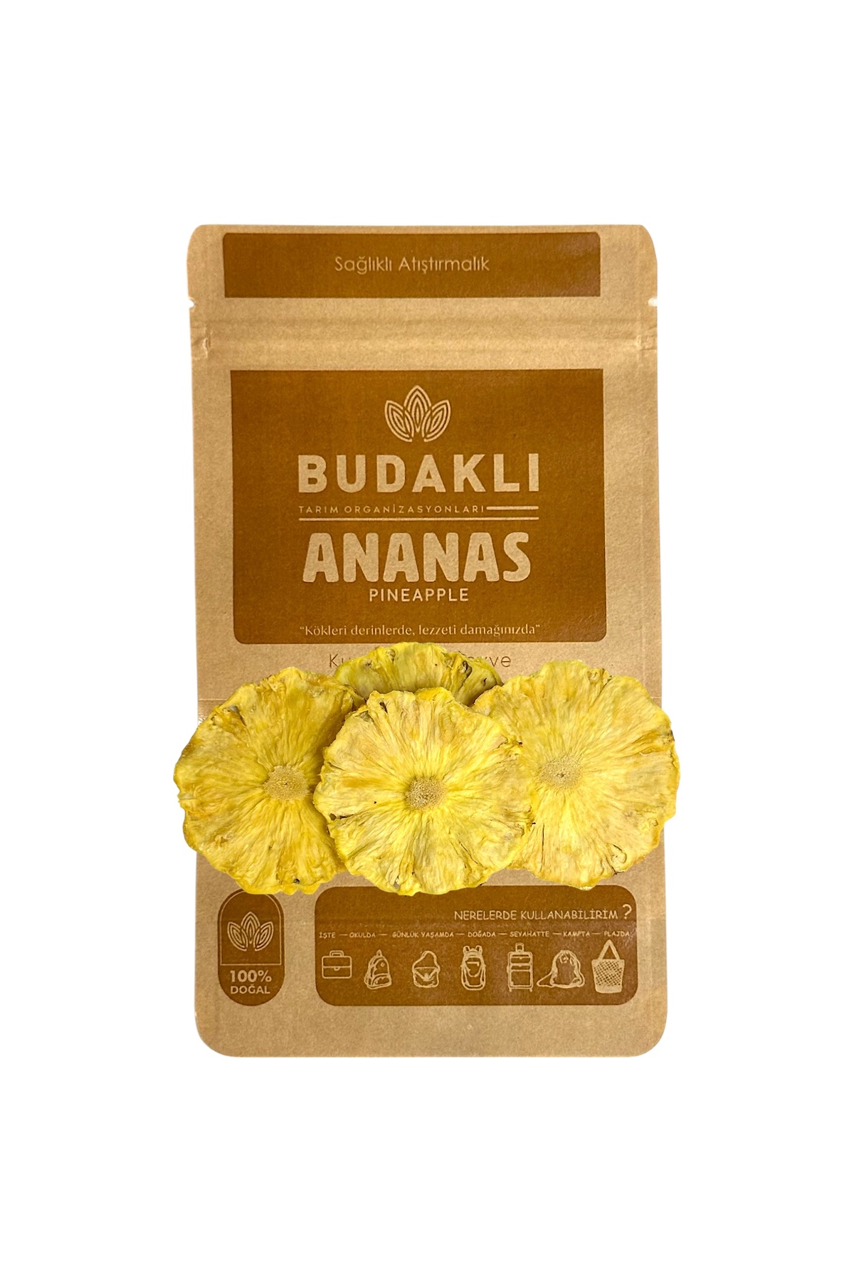Ananas Kurusu 100 Gr